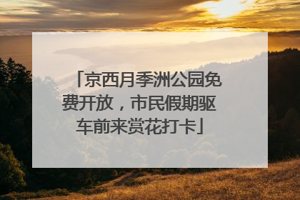 京西月季洲公园免费开放，市民假期驱车前来赏花打卡
