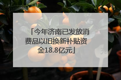 今年济南已发放消费品以旧换新补贴资金18.8亿元