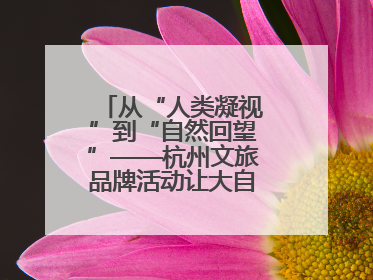 从“人类凝视”到“自然回望”——杭州文旅品牌活动让大自然“发声”