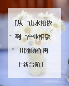 从“山水相依”到“产业相融” 川渝协作再上新台阶