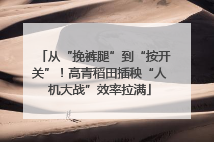 从“挽裤腿”到“按开关”！高青稻田插秧“人机大战”效率拉满