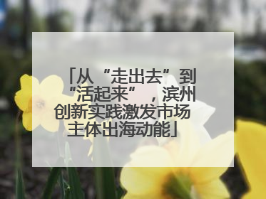 从“走出去”到“活起来”，滨州创新实践激发市场主体出海动能
