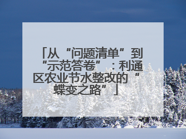 从“问题清单”到“示范答卷”：利通区农业节水整改的“蝶变之路”