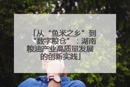 从“鱼米之乡”到“数字粮仓”：湖南粮油产业高质量发展的创新实践