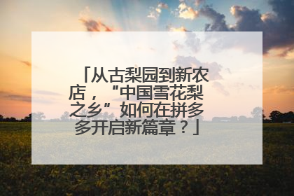 从古梨园到新农店，“中国雪花梨之乡”如何在拼多多开启新篇章？