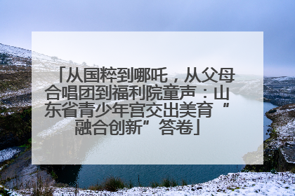 从国粹到哪吒，从父母合唱团到福利院童声：山东省青少年宫交出美育“融合创新”答卷
