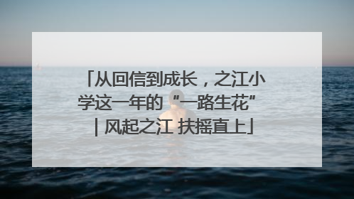 从回信到成长，之江小学这一年的“一路生花”｜风起之江 扶摇直上