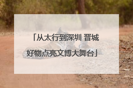 从太行到深圳 晋城好物点亮文博大舞台