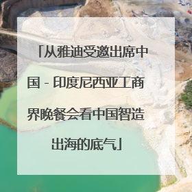 从雅迪受邀出席中国－印度尼西亚工商界晚餐会看中国智造出海的底气
