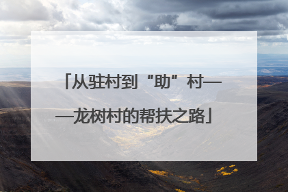 从驻村到“助”村——龙树村的帮扶之路