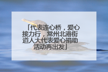 代表连心桥，爱心接力行，常州北港街道人大代表爱心捐助活动再出发