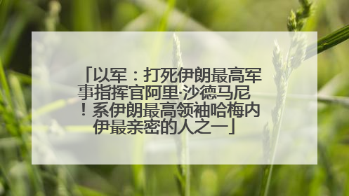 以军：打死伊朗最高军事指挥官阿里·沙德马尼！系伊朗最高领袖哈梅内伊最亲密的人之一