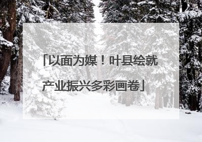 以面为媒！叶县绘就产业振兴多彩画卷
