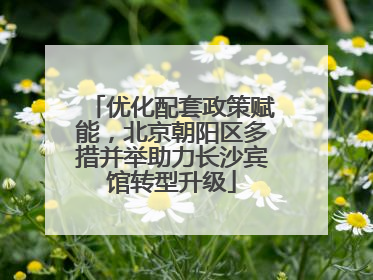 优化配套政策赋能，北京朝阳区多措并举助力长沙宾馆转型升级