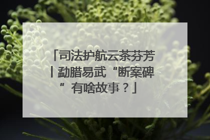 司法护航云茶芬芳丨勐腊易武“断案碑”有啥故事？