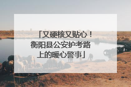 又硬核又贴心！衡阳县公安护考路上的暖心警事