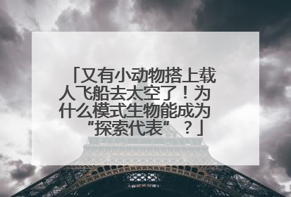 又有小动物搭上载人飞船去太空了！为什么模式生物能成为“探索代表”？