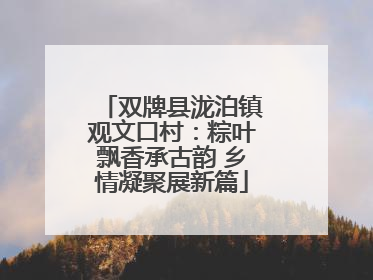 双牌县泷泊镇观文口村：粽叶飘香承古韵 乡情凝聚展新篇