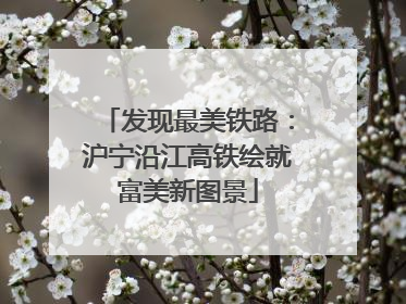 发现最美铁路：沪宁沿江高铁绘就富美新图景