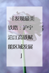 发现最美铁路：沪宁沿江高铁赋能区域发展