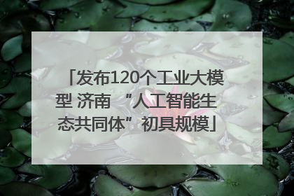 发布120个工业大模型 济南 “人工智能生态共同体”初具规模