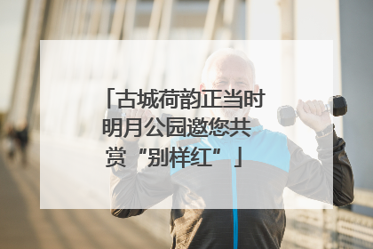 古城荷韵正当时 明月公园邀您共赏“别样红”