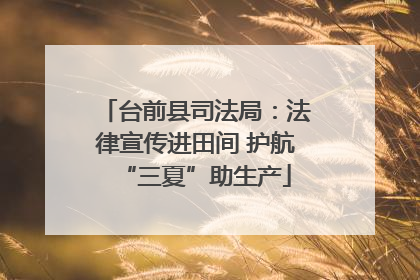 台前县司法局：法律宣传进田间 护航“三夏”助生产