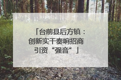 台前县后方镇：创新实干奏响招商引资“强音”