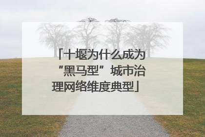 十堰为什么成为“黑马型”城市治理网络维度典型