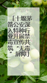 十堰茅箭公安深入特种行业开展禁毒宣传共筑“无毒”屏障