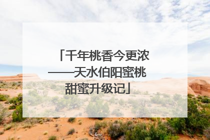 千年桃香今更浓——天水伯阳蜜桃甜蜜升级记