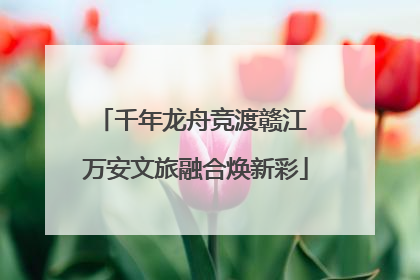 千年龙舟竞渡赣江 万安文旅融合焕新彩