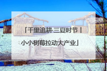 千里追耕·三夏时节丨小小树莓拉动大产业