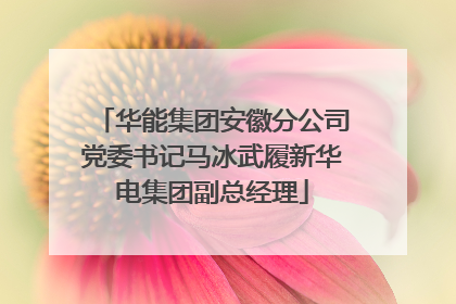 华能集团安徽分公司党委书记马冰武履新华电集团副总经理