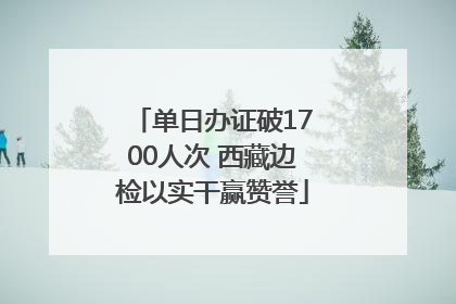 单日办证破1700人次 西藏边检以实干赢赞誉