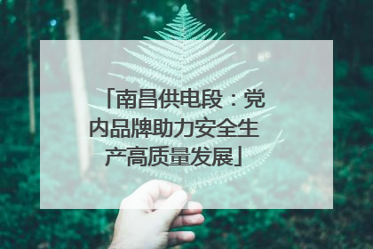 南昌供电段：党内品牌助力安全生产高质量发展