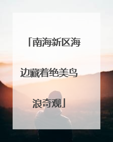南海新区海边藏着绝美鸟浪奇观