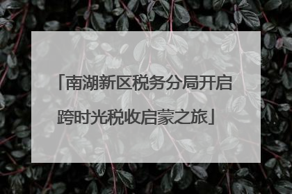 南湖新区税务分局开启跨时光税收启蒙之旅