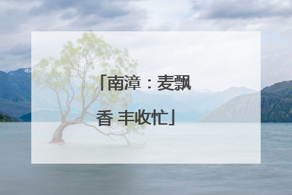 南漳：麦飘香 丰收忙