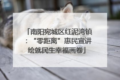 南阳宛城区红泥湾镇：“零距离”惠民宣讲 绘就民生幸福画卷
