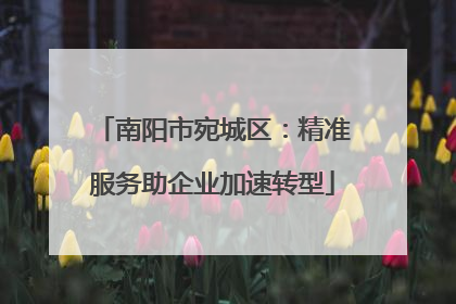 南阳市宛城区：精准服务助企业加速转型