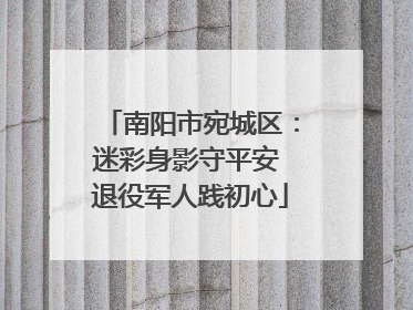 南阳市宛城区：迷彩身影守平安 退役军人践初心