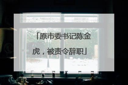 原市委书记陈金虎，被责令辞职
