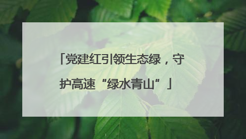 党建红引领生态绿，守护高速“绿水青山”