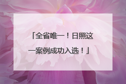 全省唯一！日照这一案例成功入选！
