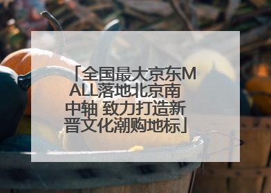 全国最大京东MALL落地北京南中轴 致力打造新晋文化潮购地标