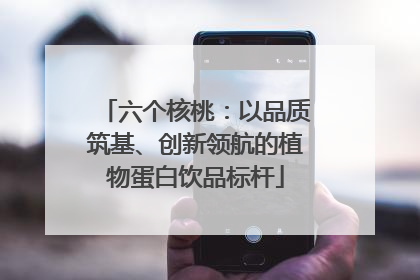 六个核桃：以品质筑基、创新领航的植物蛋白饮品标杆