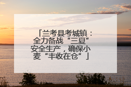 兰考县考城镇：全力备战“三夏”安全生产，确保小麦“丰收在仓”