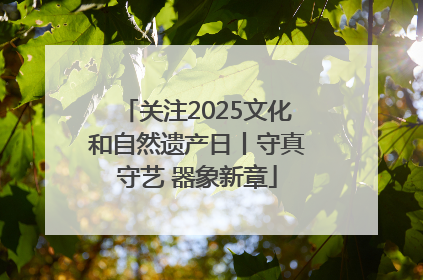 关注2025文化和自然遗产日丨守真守艺 器象新章