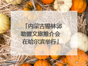 内蒙古锡林郭勒盟文旅推介会在哈尔滨举行